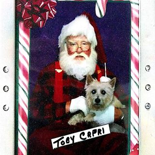 Profile Picture of Jerry Capri (@jerry.capri.9) on Facebook