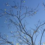 Profile Picture of Chase (@chasebuckingham2_) on Instagram