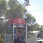 Profile Picture of Michael Poulton (@poulton.michael) on Instagram