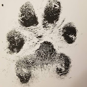 Profile Picture of Birk (@birk3383) on Youtube