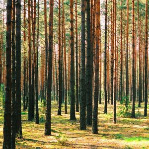 Profile Picture of Michael Tavani (@michaeltavani) on Myspace