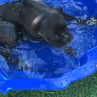 Profile Picture of Riley (@graham.kaleb) on Instagram