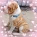 Profile Picture of Vicky Pickersgill (@vicky.pickersgill.1) on Facebook