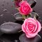 Profile Picture of Lynn Nguyen (@lynn.nguyen.33886) on Facebook