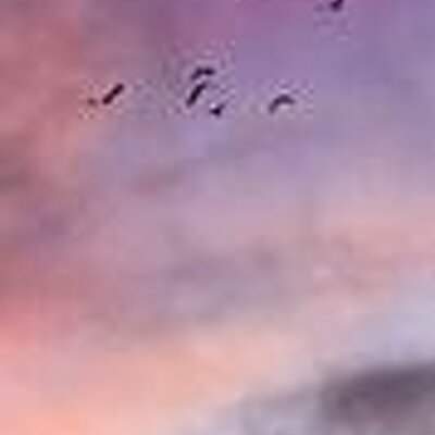 Profile Picture of Naveen Chopra (@naveen11_23) on Twitter