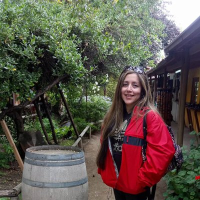 Profile Picture of Lorena Ibarra (@lorenaibarra200) on Twitter