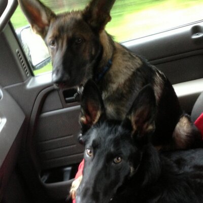 Profile Picture of Casey Taber (@Casey_Taber) on Twitter