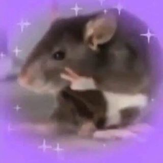 Profile Picture of Jacob Moriarty (@jacob.moriarty.33) on Facebook