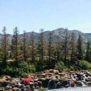 Profile Picture of lazarovalladares6 (@lazarovalladares6) on Tiktok