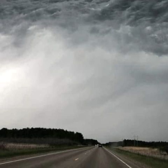 Profile Picture of Alejandro Torres (@af100187g) on Poshmark