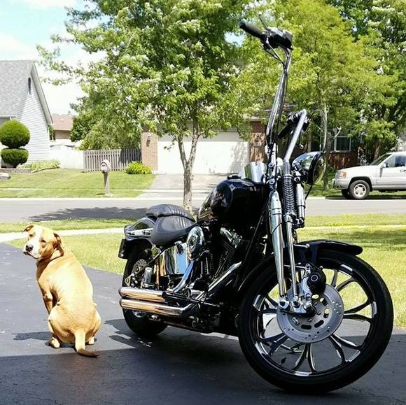 Profile Picture of Jimbo Kamis (@jimbokamis) on Poshmark