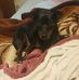 Profile Picture of Julie Stringer (@julie.stringer.94617) on Facebook