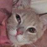 Profile Picture of John Preston Stolle (@jpstoll2288) on Instagram