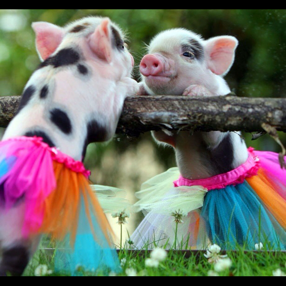 Profile Picture of Kate Finney (@ktybg) on Poshmark