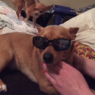 Profile Picture of Devin Middleton (@Indycoltsfan81) on Twitter