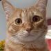 Profile Picture of Debbie Dronet (@debbie.dronet) on Facebook
