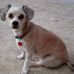 Profile Picture of Bobbie Hughes (@Bruce.Bobbie.Hughes) on Facebook