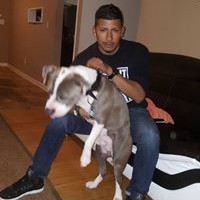 Profile Picture of Bryan Sanchez (@bryan-sanchez-45) on Quora
