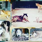 Profile Picture of Diego David Bonaccorso (@diegodavidbonaccorso) on Instagram