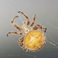 Profile Picture of Michael Kwan (@michael-kwan-44) on Quora