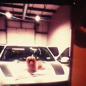 Profile Picture of Dans Automotive Detail (@DanDaws95497900) on Twitter