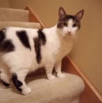 Profile Picture of Richard McCarley (@richard.mccarley.12) on Facebook