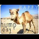 Profile Picture of randy heckman (@randyheckman012) on Instagram