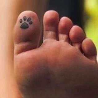 Profile Picture of Louise Cavanagh  🐝 (@Blouise68) on Twitter