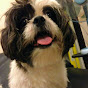 Profile Picture of Surat Rattakultip (@@surat96) on Tiktok
