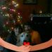 Profile Picture of Stephen Steele (@stephen.steele.562) on Facebook