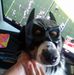Profile Picture of Eric Schefcik (@eric.schefcik.1) on Facebook