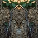 Profile Picture of Chengjie Liu (@chengjie.liu) on Instagram