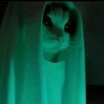 Profile Picture of Tiara Upton (@tiaraisgoingquietly) on Instagram