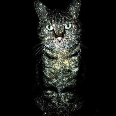 Profile Picture of More Things Than... (@Just4Jordin) on Twitter