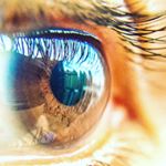 Profile Picture of The Trader (@leaderwick_di_james) on Instagram