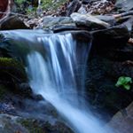 Profile Picture of Jason Bruno (@jb__photography19) on Instagram