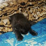 Profile Picture of Theodore Patton (@theodore.patton) on Instagram