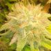Profile Picture of Wead Wead (@wead.wead.503) on Facebook