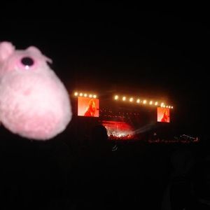Profile Picture of George Hippo (@crazypinkhippo) on Myspace