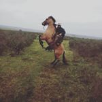 Profile Picture of Mauro (@mauro_marchesano) on Instagram
