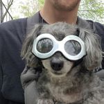 Profile Picture of Brandon Michael Beiswenger (@theoriginalbmb) on Instagram