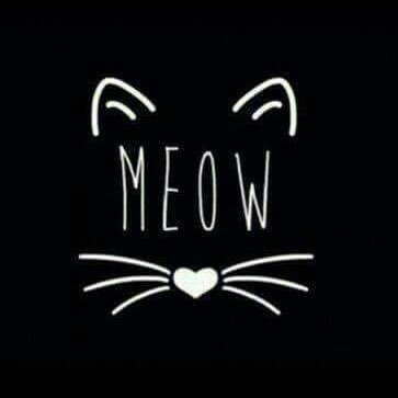 Profile Picture of Yadira Pérez (@yad29) on Twitter