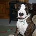 Profile Picture of Ralph Weir (@ralph.weir.12) on Facebook