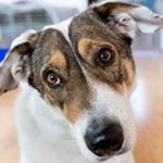 Alex Dolin - Instagram Profile Picture of Alex Dolin (@alex_dolinsky) on Instagram