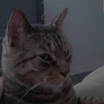 Profile Picture of Alexander Osborne (@alexander.osborne.7355) on Instagram