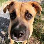 Profile Picture of Herbert (@herbertvandyson) on Instagram