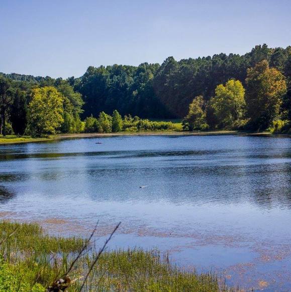 Profile Picture of John Hamm (@_thatkidmike_) on Poshmark