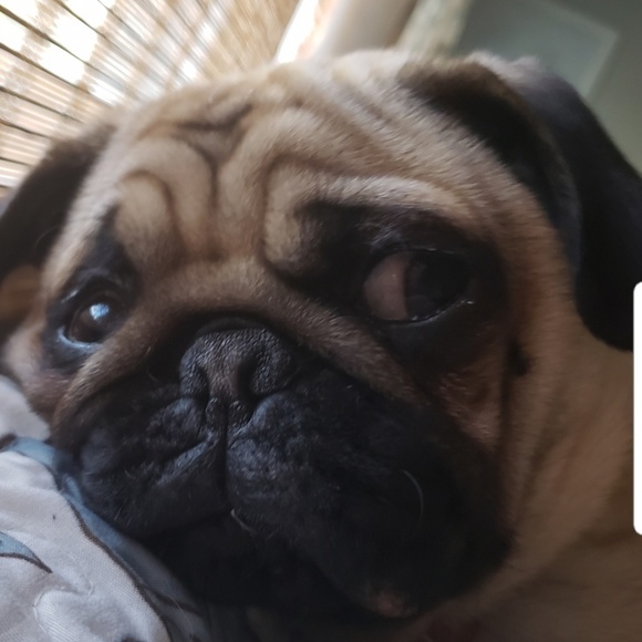 Profile Picture of Gisella Rivera (@gcrivmillet) on Poshmark