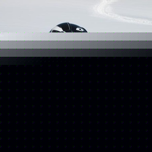 Profile Picture of Douglas Mcandrews (@355113804) on Myspace