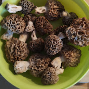 Le Koess 54 - Youtube Profile Picture of Le Koess 54 (@lekoess5489) on Youtube